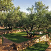 Отель L'Oliveraie de Marigha, фото 15