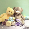 Отель Homestay in Johor - Bear House, фото 21