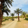 Отель Paradis Touareg, фото 30