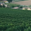Отель B&B Il Casale Tra I Vigneti, фото 6