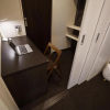 Отель INOVA Kanazawaekimae Hotel suite, фото 4