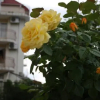 Отель Style Place, фото 38