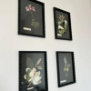 Отель Redland Suites - Apartment 4, фото 19