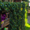 Отель Baan Ha Guest House, фото 1