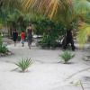 Отель Mpole Bungalows, фото 24