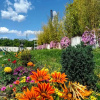 Отель B&B Desea (Adults Only), фото 8