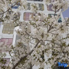 Отель Erjie Homestay (Liangxiang University Town Subway Station), фото 1
