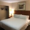 Отель Holiday Inn Express Hotel & Suites Lansing-Dimondale, an IHG Hotel, фото 34