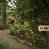 Отель Tierra de Suenos Lodge & Wellness Center, фото 30