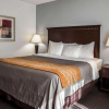 Отель Comfort Inn, фото 10