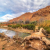 Отель Auberge Atlas Dades, фото 14