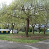 Отель Camping les Ombrages de l'Adour, фото 1