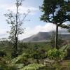 Отель Volcano Roaring Front, фото 15