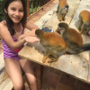 Отель Apartamentos GuanafreeTamarindo Guanacaste 2, фото 10