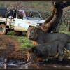 Отель African Spirit Game Lodge, фото 32