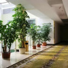 Отель Huatianlong Business Hotel, фото 4