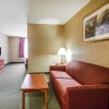 Отель Comfort Inn & Suites, фото 3