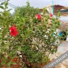 Отель Azur Tafraout, фото 37