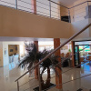 Отель Los Cedros Hotel Inn Nuevo Casas Grandes, фото 24