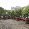 Отель Terrace Garden View Apartment Near Metro Stop, фото 15