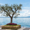 Отель Nice Holiday Apartment near Lazise, фото 22