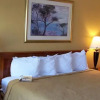 Отель Quality Inn And Suites, фото 5