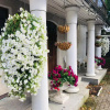 Отель Paivilla Boutique Hotel, фото 28