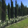 Отель Maison de Charme Dans Domaine 17eme, фото 31
