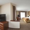 Отель Comfort Inn & Suites Brevard, фото 7