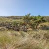 Отель Dune Grass, фото 23