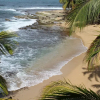 Отель Caribe Courtyard, фото 16