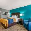 Отель Comfort Inn Sun City Center - Ruskin - Tampa South, фото 7