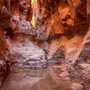 Отель Wadi rum Desert Bedouin Life, фото 17