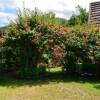 Отель Maison Te Vini Holiday home 3, фото 16