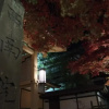 Отель Koyasan Sainan-In, фото 14
