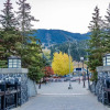 Отель Whistler Vacation Club Lake Placid Lodge - 103, фото 14