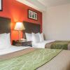 Отель Comfort Hotel & Suites, фото 32