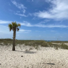 Отель Ocean Reef 501, фото 14