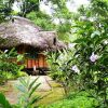 Отель Suchipakari Jungle Lodge, фото 39