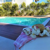Отель Villa Namora, фото 14