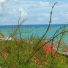 Отель Apartamentos Praia de Pajucara, фото 13