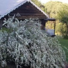 Отель Madison's Mountain Retreat, фото 16