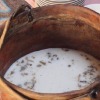 Отель Юртовый лагерь GREEN CAMP в Сары-Могол