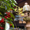 Отель Taikoya-Bettei Guest House, фото 1