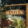 Отель Pousada Raízes, фото 1