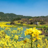 Отель Crowne Plaza Huangshan Yucheng, фото 18