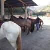 Отель Campestre La Playa, фото 35