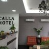 Отель Calla Hotel, фото 18