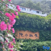 Отель Yaqiu Courtyard Featured Hostel, фото 16