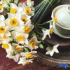 Отель Bujin Homestay, фото 5